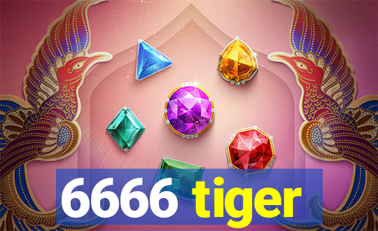 6666 tiger